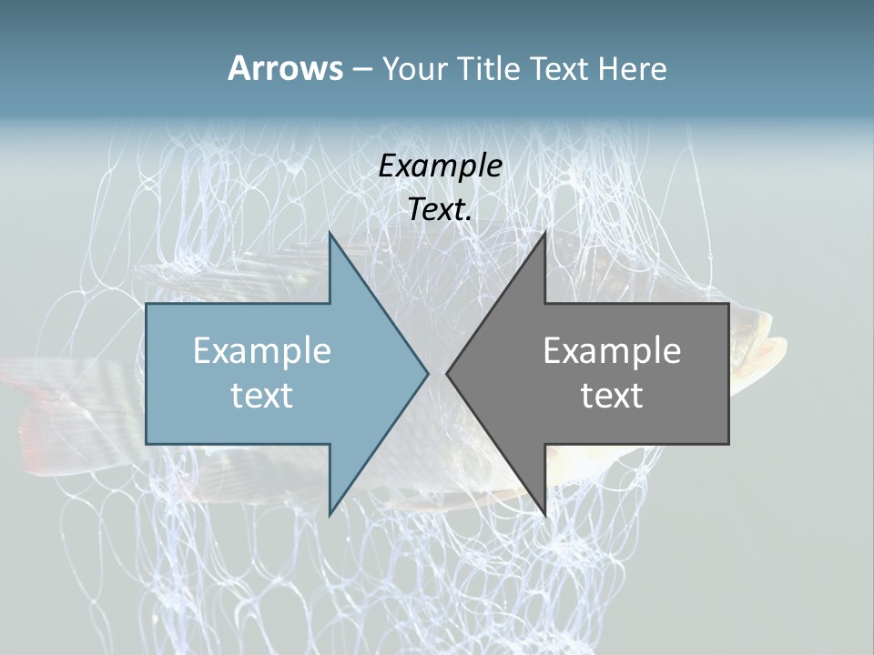Loss Of Freedom Sad Fresh Water PowerPoint Template