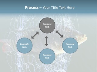 Loss Of Freedom Sad Fresh Water PowerPoint Template