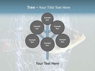 Loss Of Freedom Sad Fresh Water PowerPoint Template