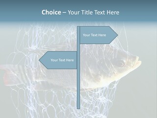 Loss Of Freedom Sad Fresh Water PowerPoint Template