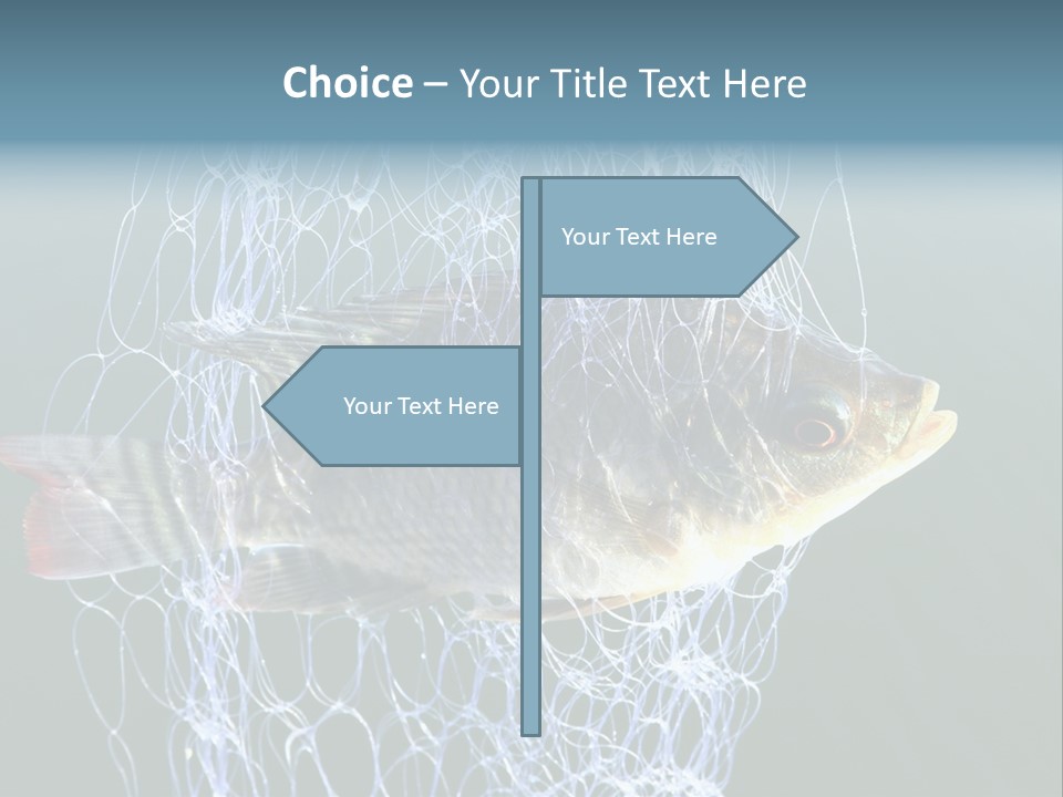 Loss Of Freedom Sad Fresh Water PowerPoint Template