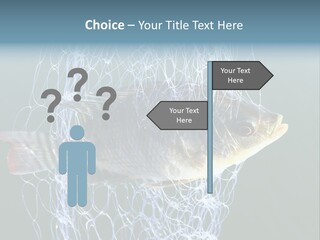 Loss Of Freedom Sad Fresh Water PowerPoint Template