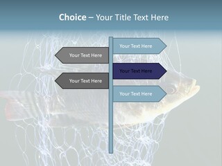 Loss Of Freedom Sad Fresh Water PowerPoint Template