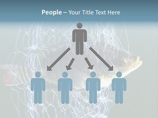 Loss Of Freedom Sad Fresh Water PowerPoint Template