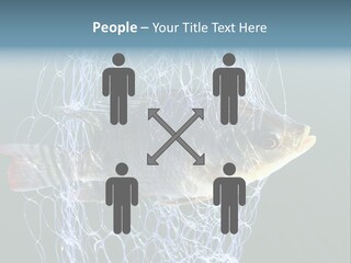 Loss Of Freedom Sad Fresh Water PowerPoint Template