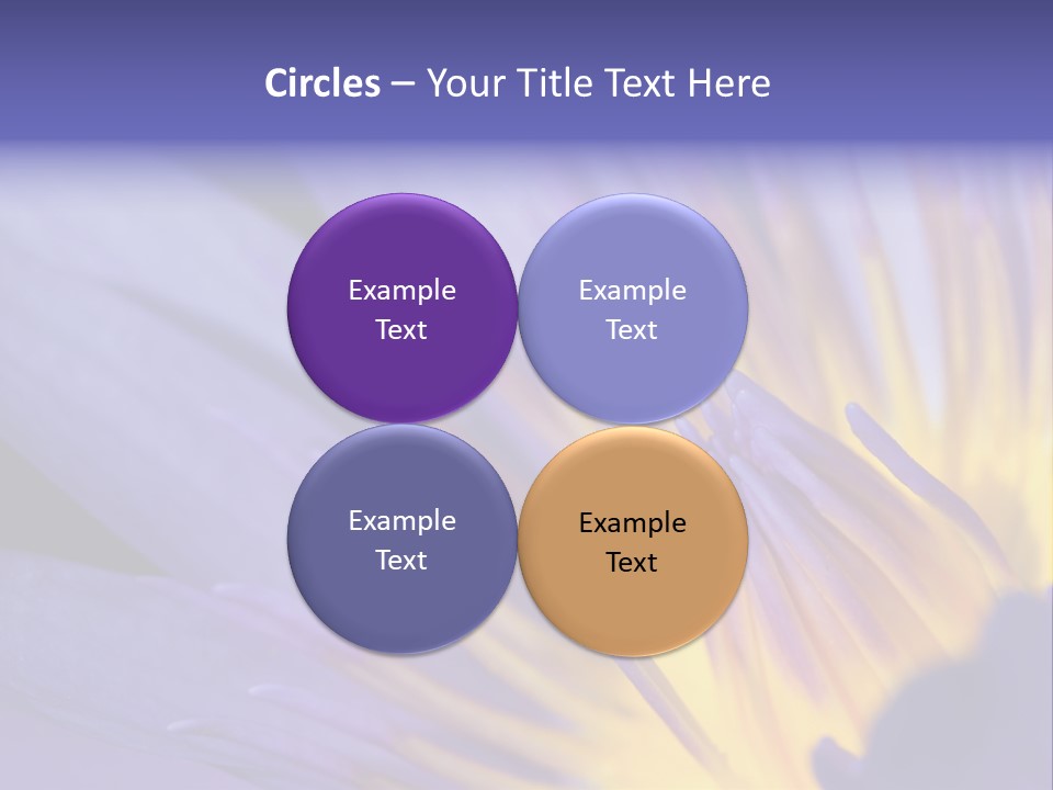 Floral Sign Flora PowerPoint Template