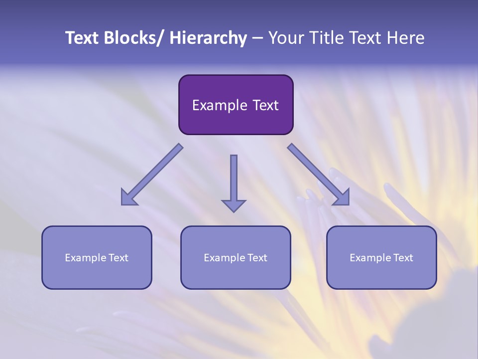Floral Sign Flora PowerPoint Template