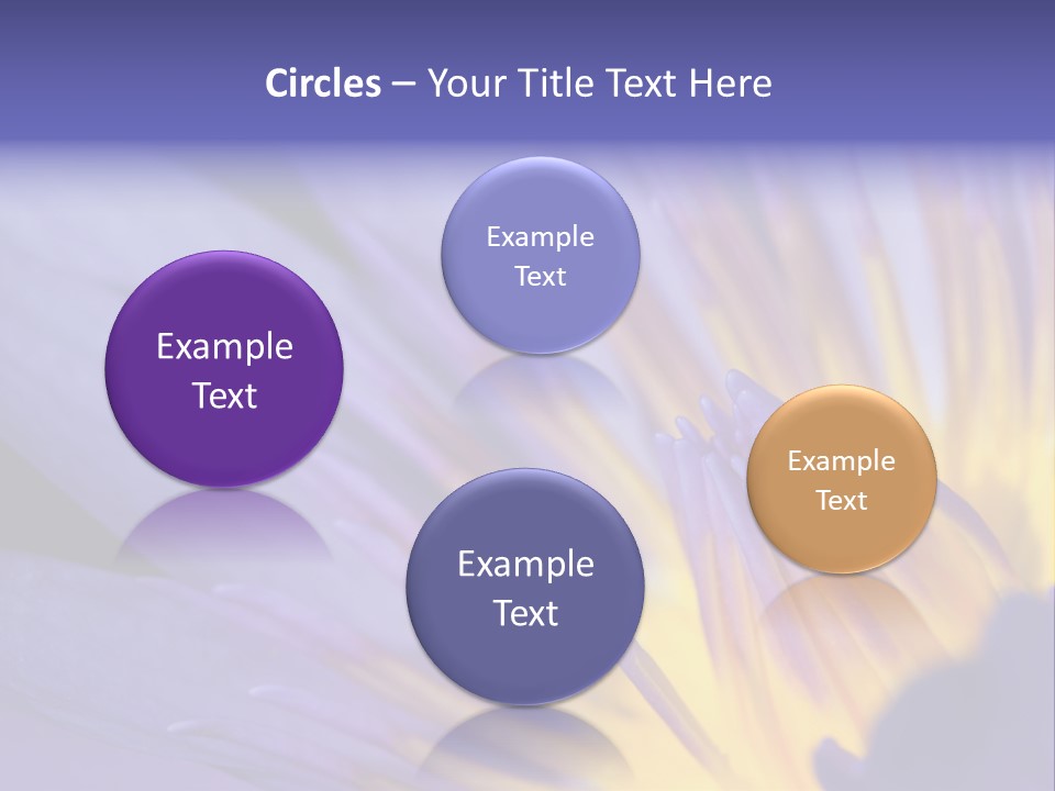 Floral Sign Flora PowerPoint Template