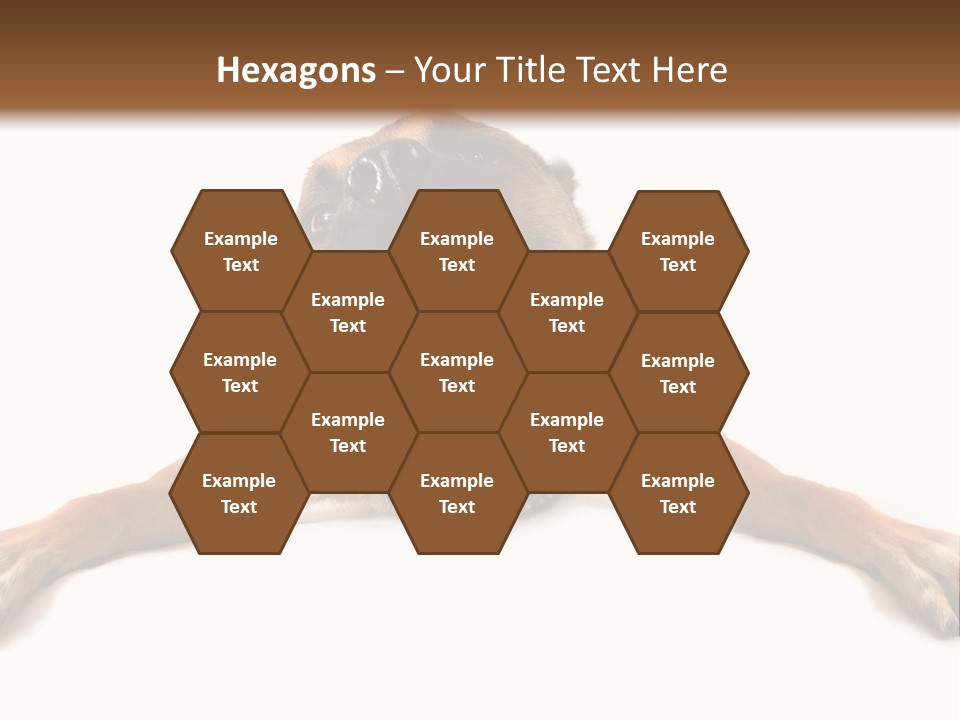 Biting One Aggression PowerPoint Template