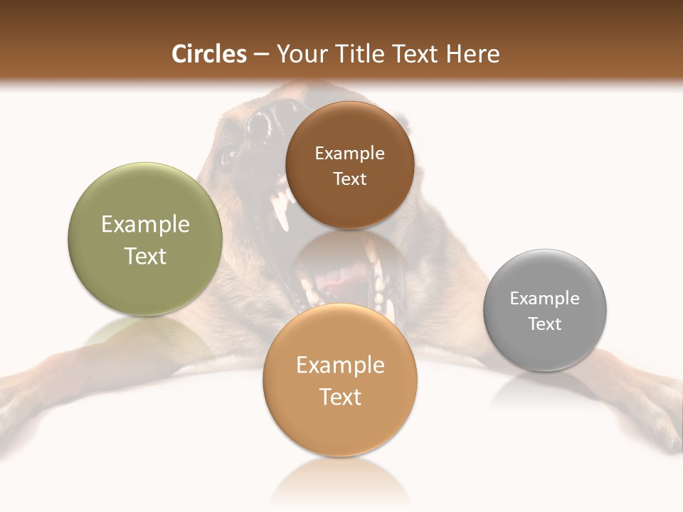 Biting One Aggression PowerPoint Template