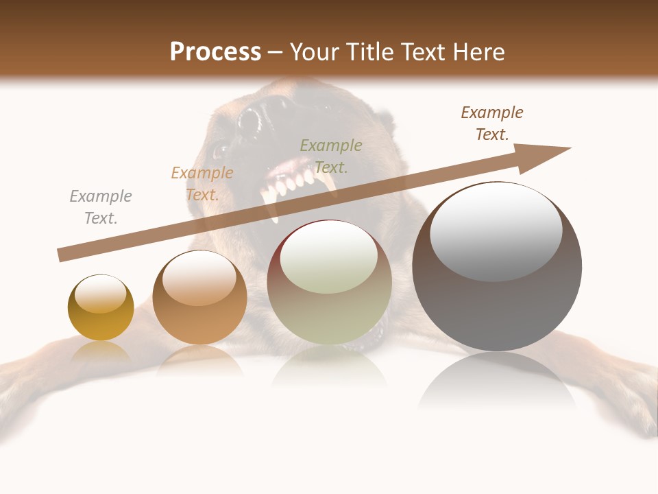 Biting One Aggression PowerPoint Template