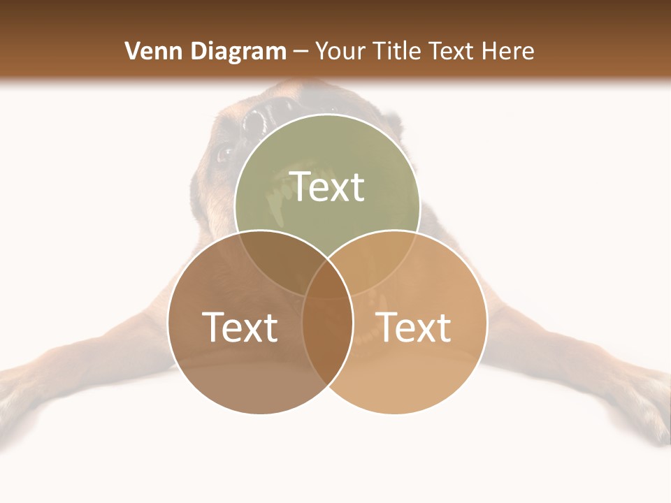 Biting One Aggression PowerPoint Template