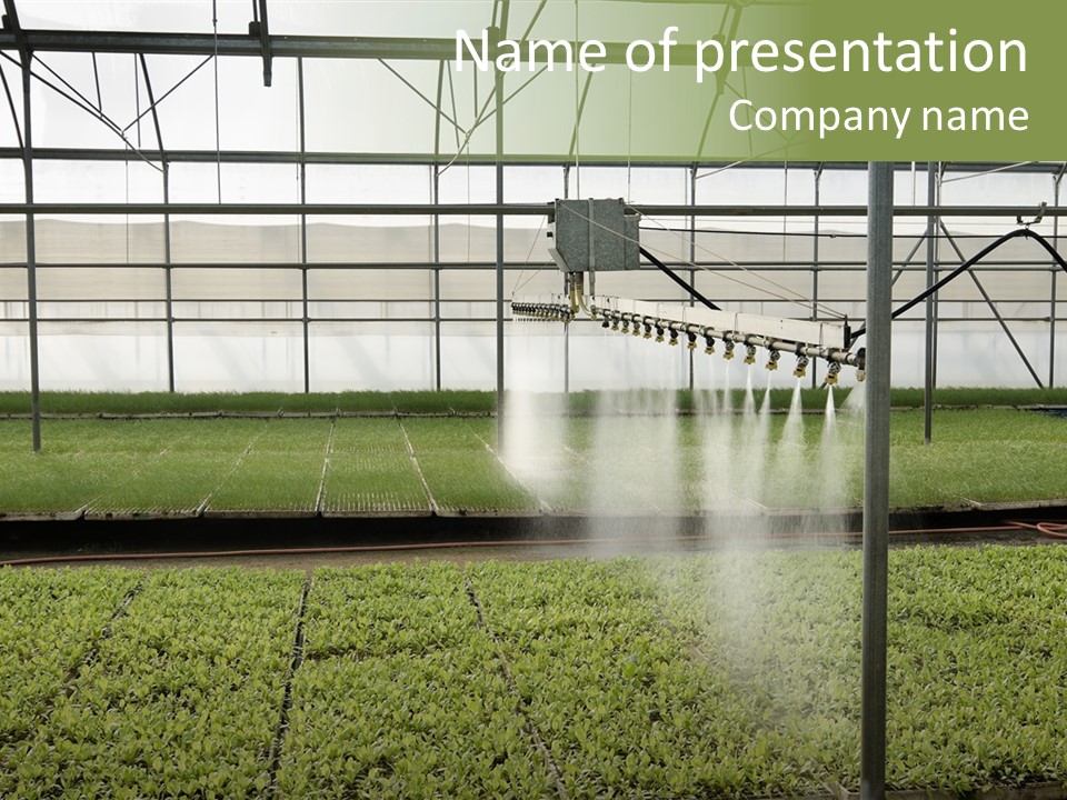 Water Spray Plant PowerPoint Template