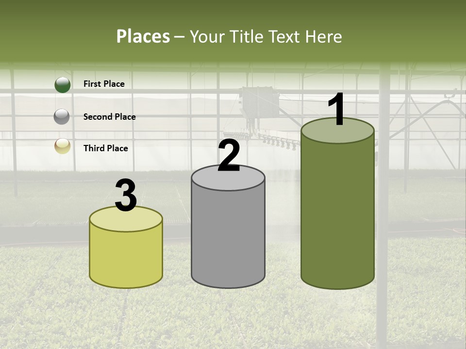 Water Spray Plant PowerPoint Template