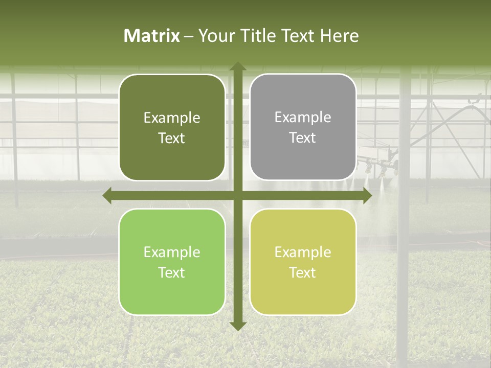 Water Spray Plant PowerPoint Template