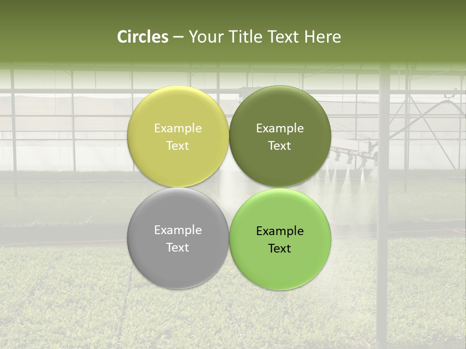 Water Spray Plant PowerPoint Template