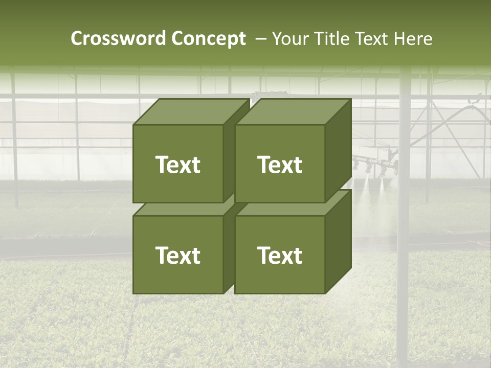 Water Spray Plant PowerPoint Template