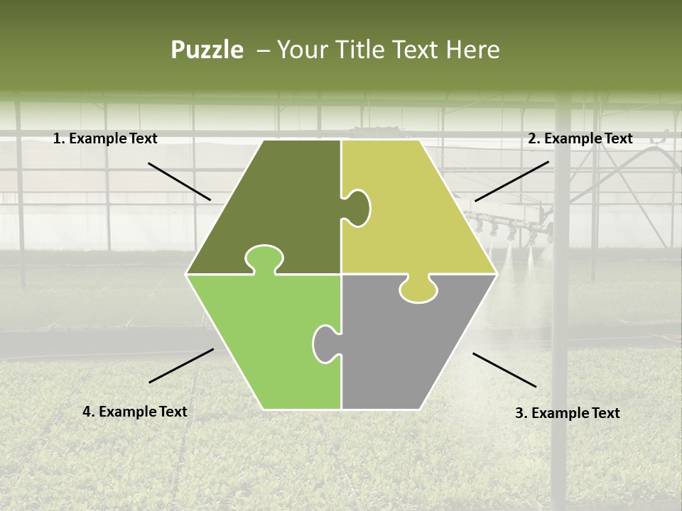 Water Spray Plant PowerPoint Template