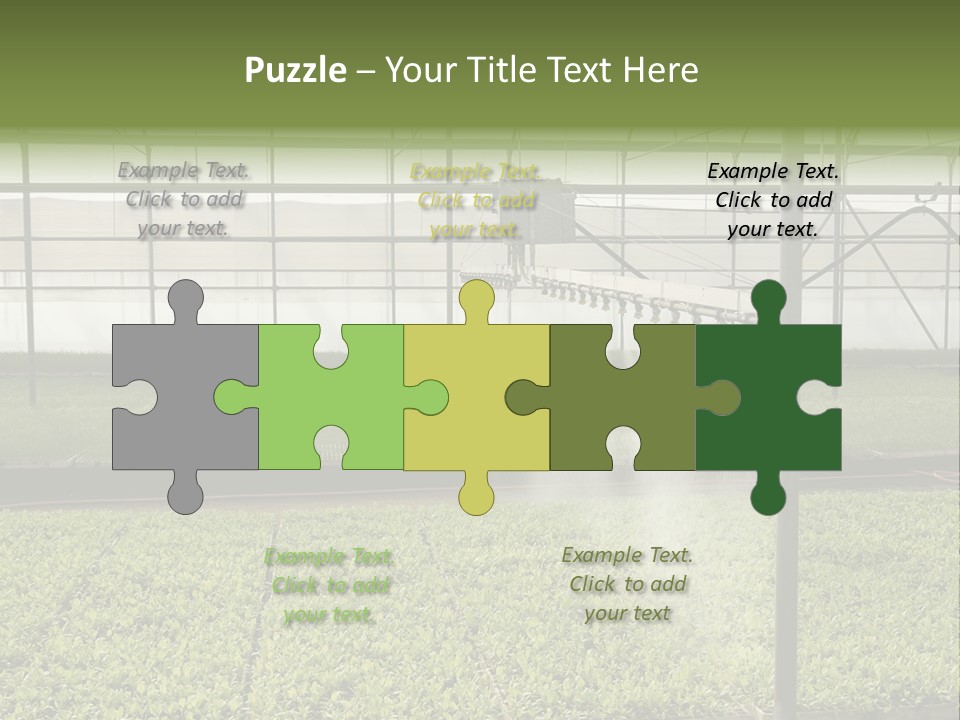 Water Spray Plant PowerPoint Template