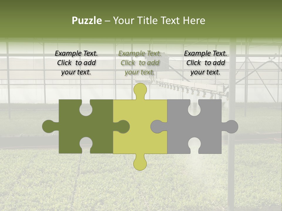 Water Spray Plant PowerPoint Template