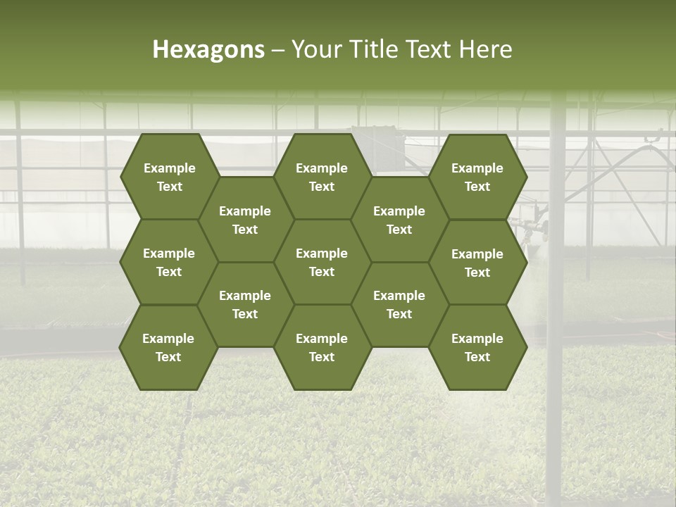 Water Spray Plant PowerPoint Template