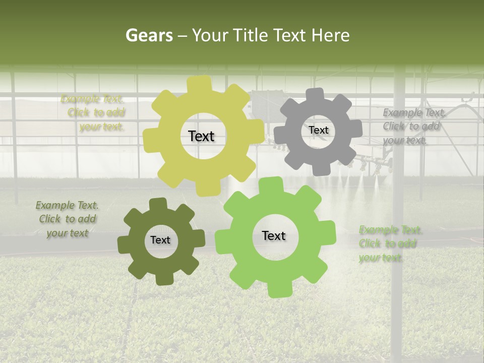 Water Spray Plant PowerPoint Template