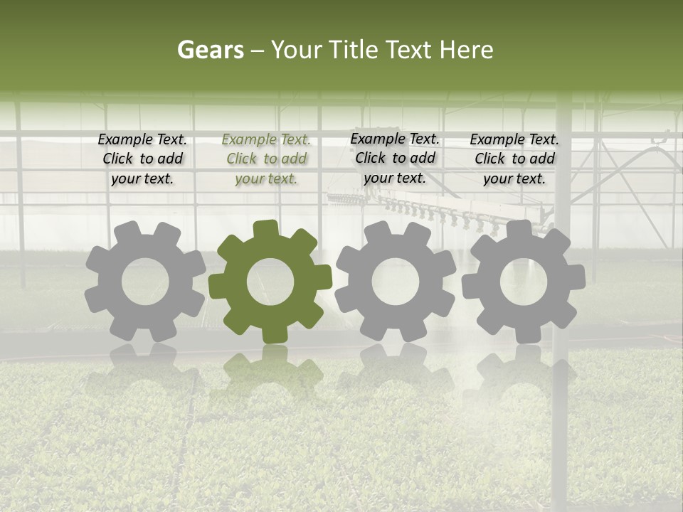 Water Spray Plant PowerPoint Template