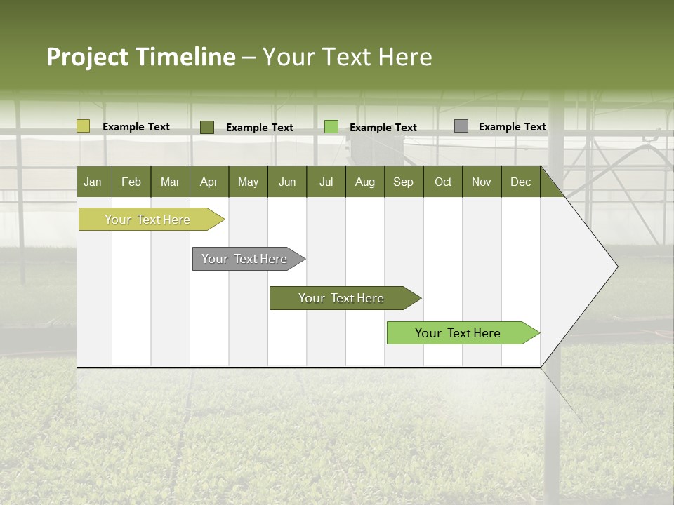 Water Spray Plant PowerPoint Template