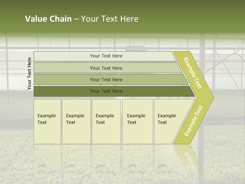 Water Spray Plant PowerPoint Template