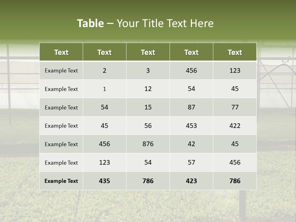 Water Spray Plant PowerPoint Template