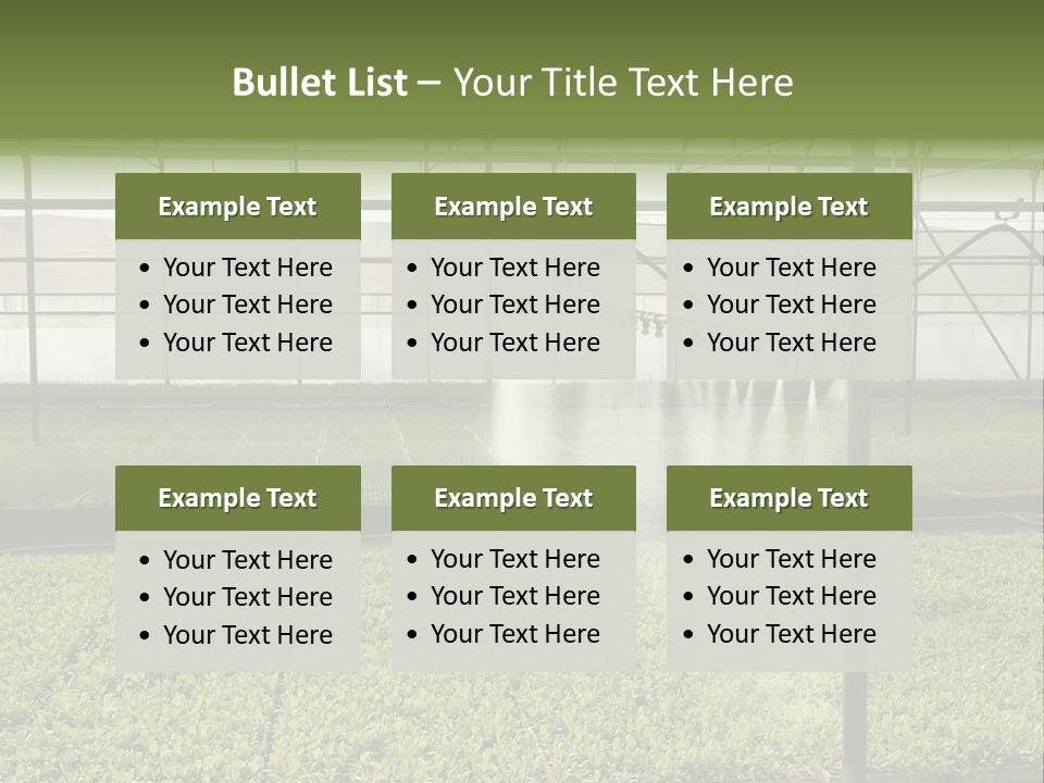 Water Spray Plant PowerPoint Template
