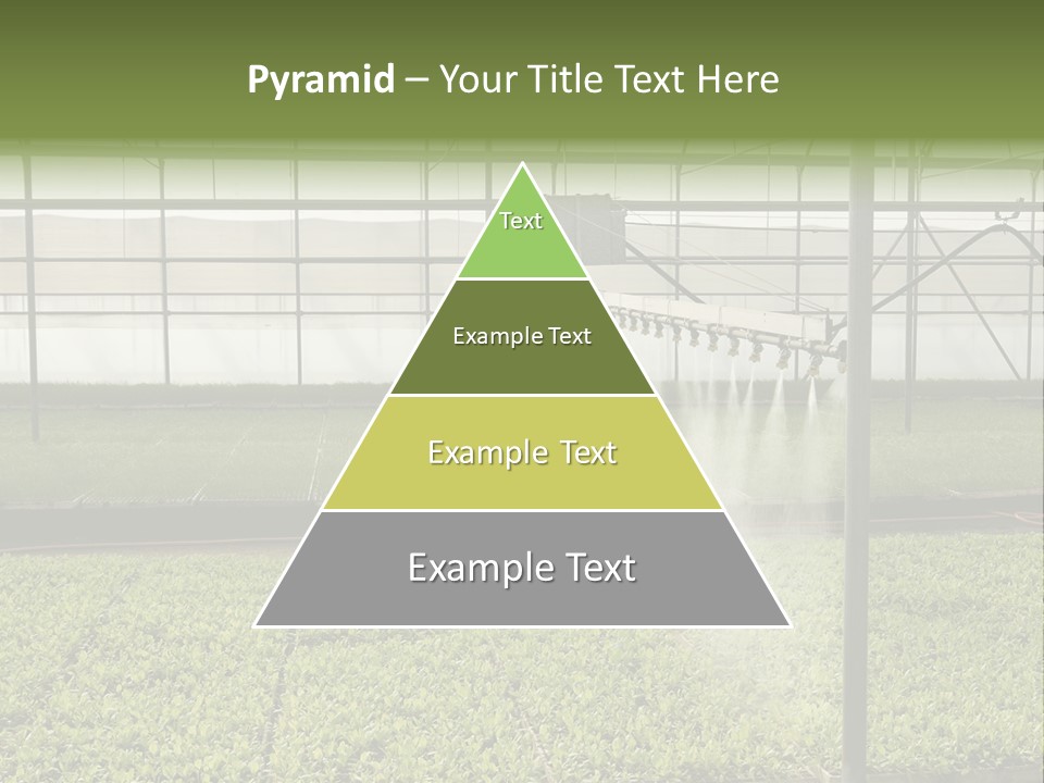 Water Spray Plant PowerPoint Template