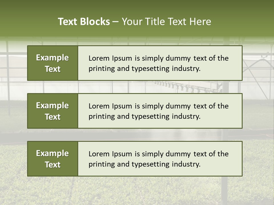 Water Spray Plant PowerPoint Template