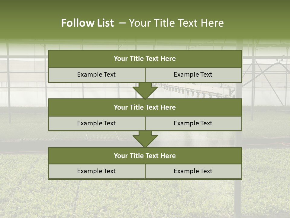 Water Spray Plant PowerPoint Template