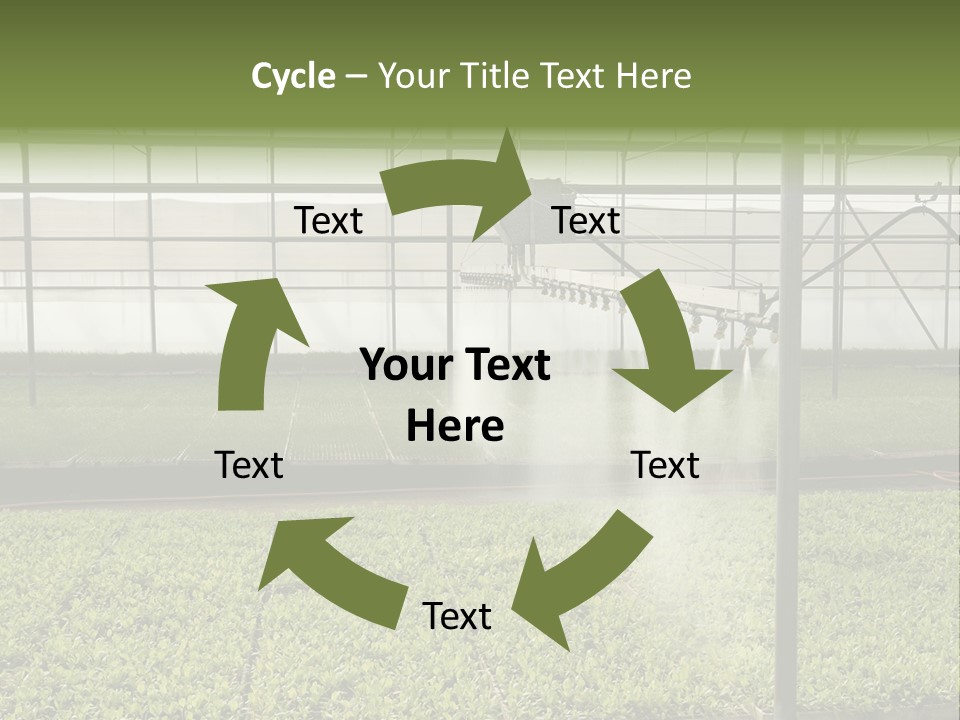 Water Spray Plant PowerPoint Template
