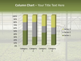 Water Spray Plant PowerPoint Template