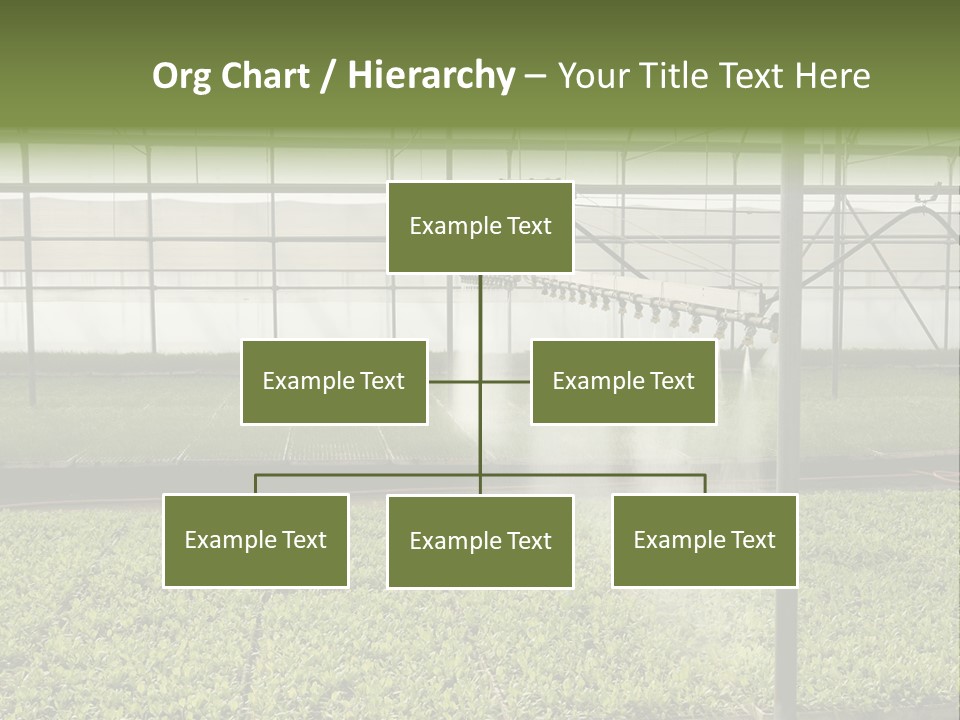 Water Spray Plant PowerPoint Template