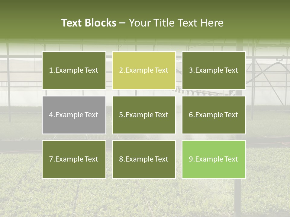 Water Spray Plant PowerPoint Template