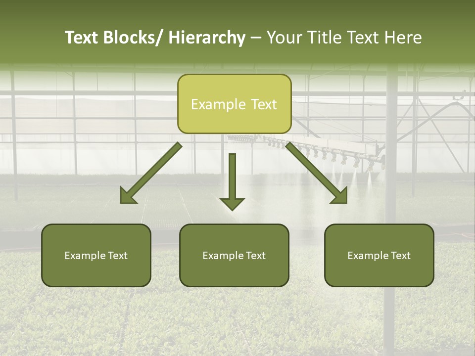Water Spray Plant PowerPoint Template