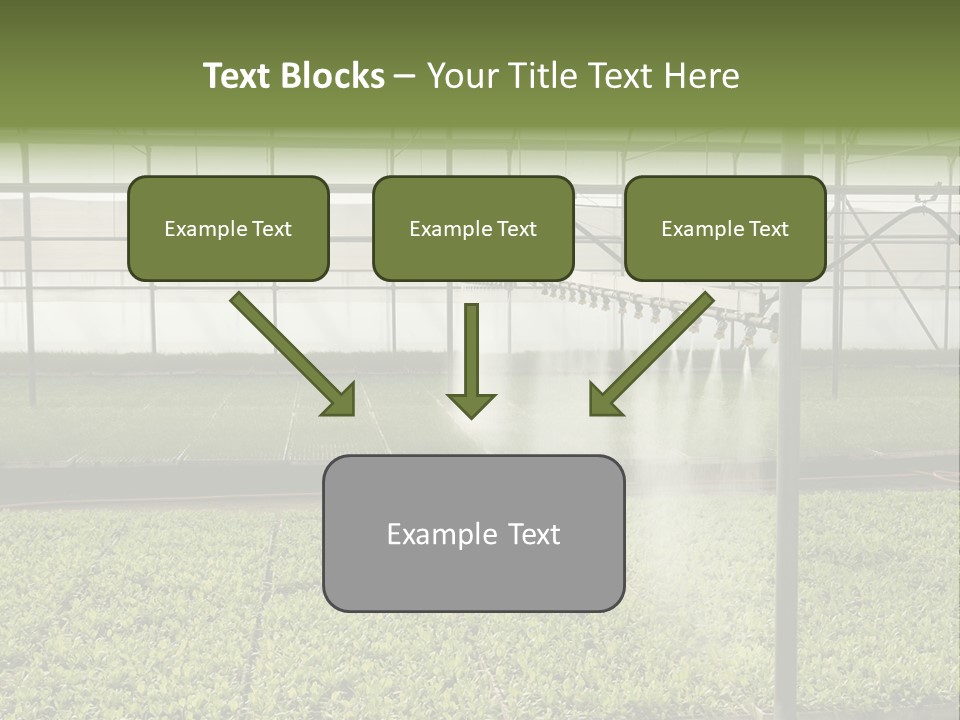 Water Spray Plant PowerPoint Template