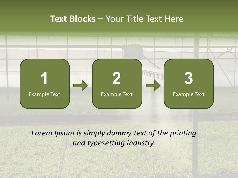 Water Spray Plant PowerPoint Template