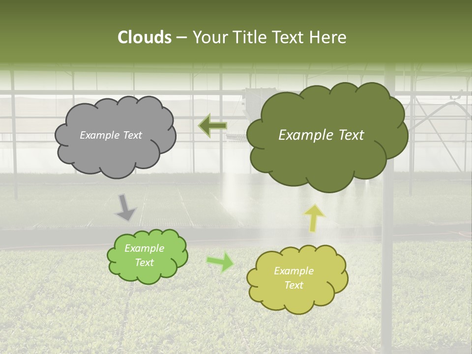 Water Spray Plant PowerPoint Template