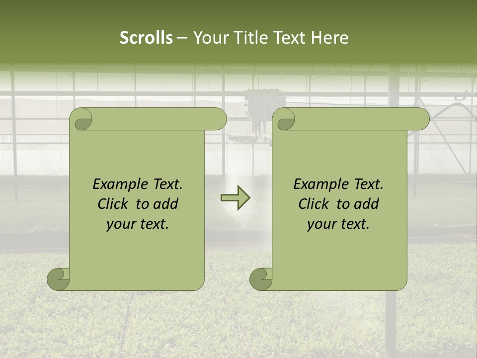 Water Spray Plant PowerPoint Template