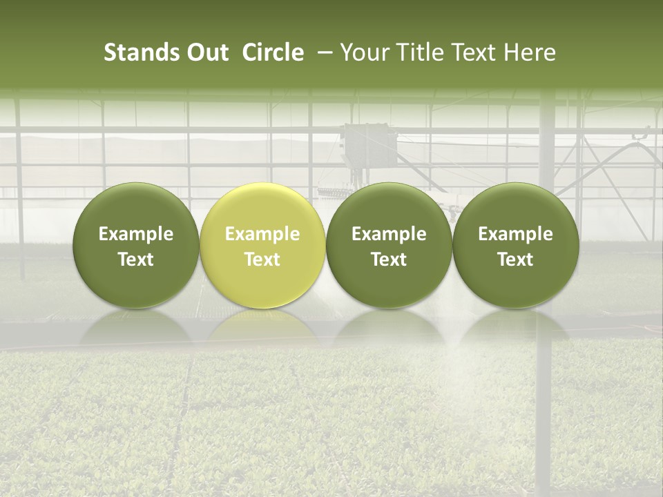 Water Spray Plant PowerPoint Template