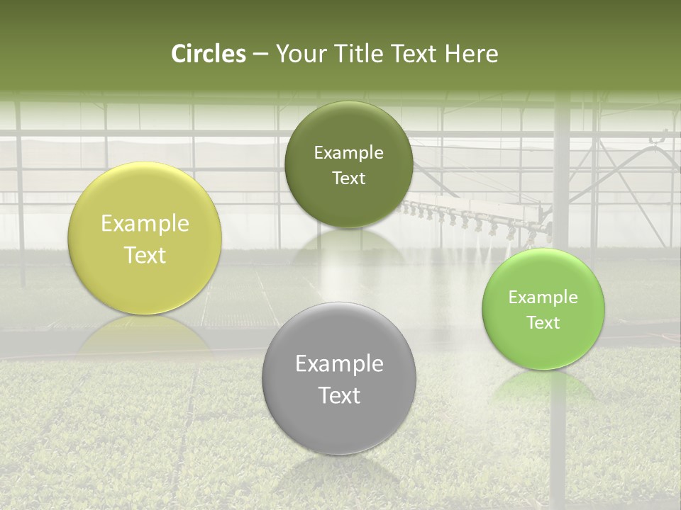 Water Spray Plant PowerPoint Template