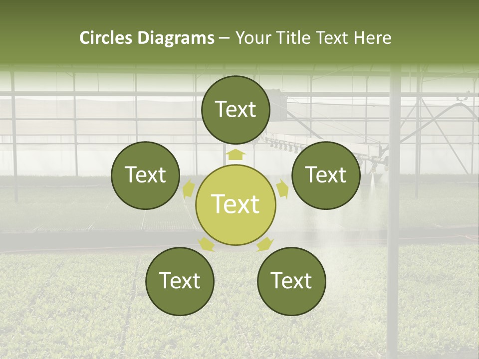 Water Spray Plant PowerPoint Template