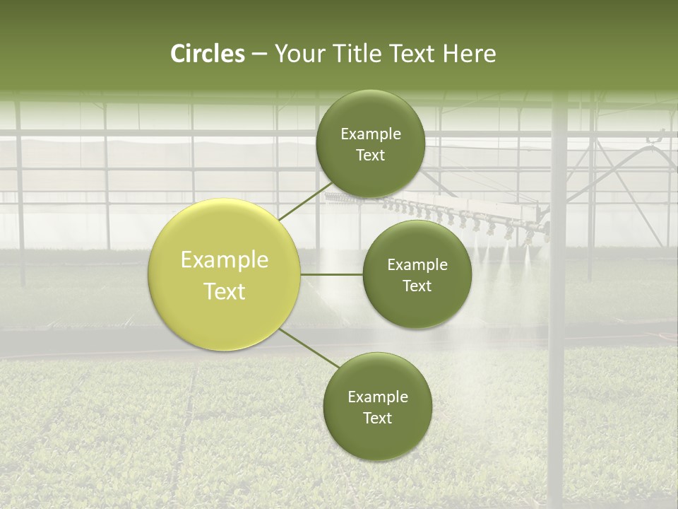 Water Spray Plant PowerPoint Template