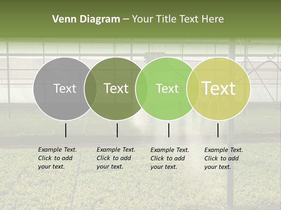 Water Spray Plant PowerPoint Template