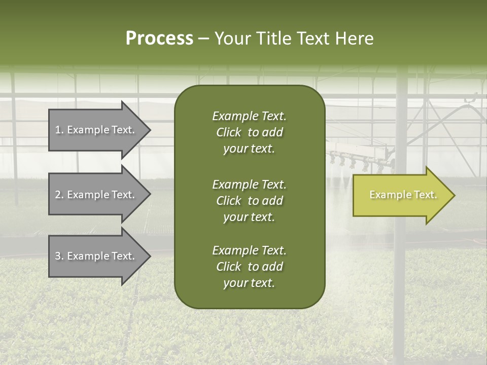 Water Spray Plant PowerPoint Template