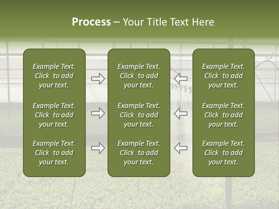 Water Spray Plant PowerPoint Template